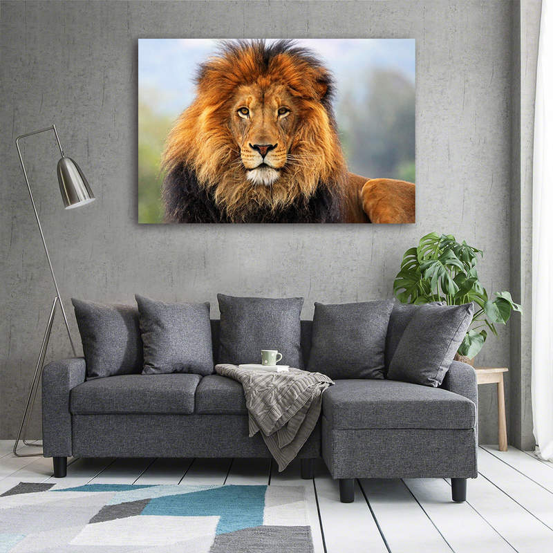 Lion Canvas Prints,Wildlife Animal Paintings